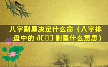 八字副星决定什么命（八字排盘中的 🐕 副星什么意思）